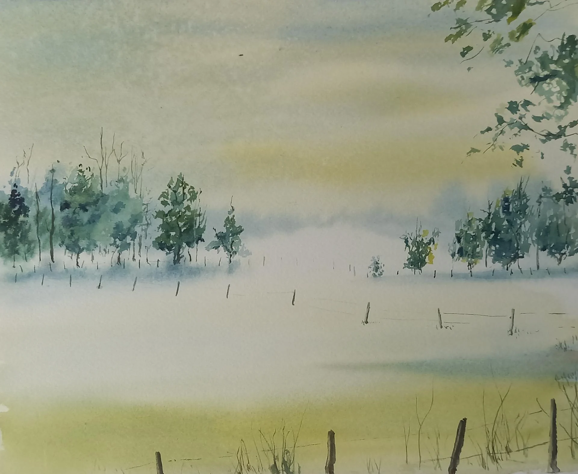 Brume